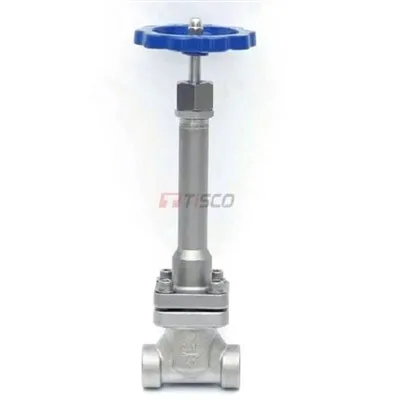 Cryogenic Globe Valve